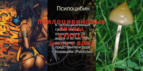 круглые Шадринск