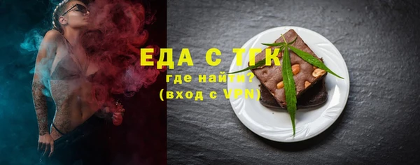 индика Козловка