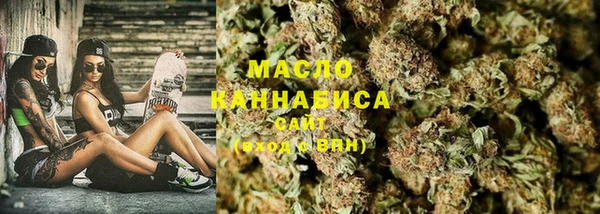 индика Козловка