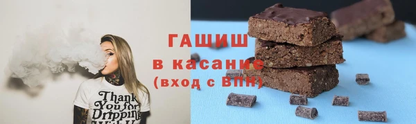 индика Козловка