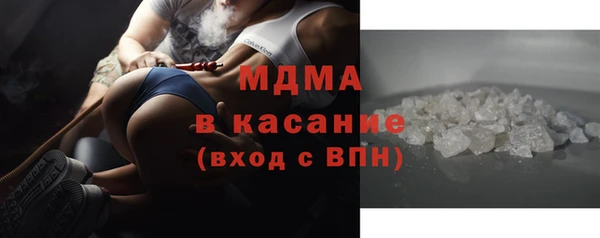 индика Козловка