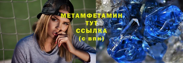 индика Козловка