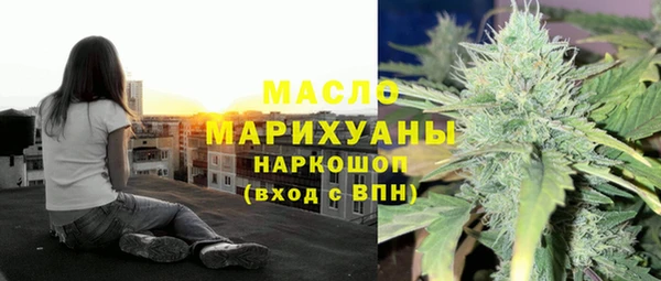 индика Козловка