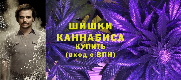 индика Козловка