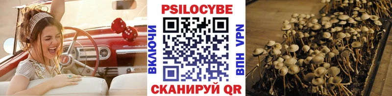 Купить закладки  Печора  Галлюциногенные грибы мицелий 