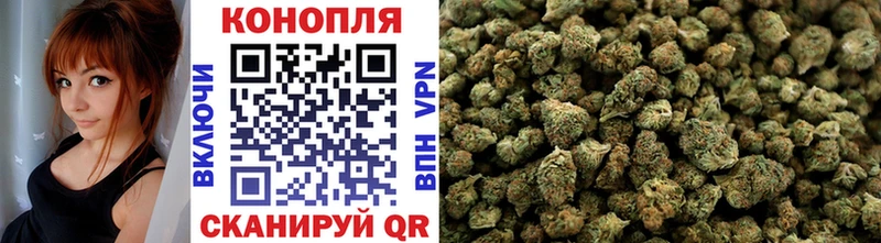 Купить  Печора  Шишки марихуана конопля 